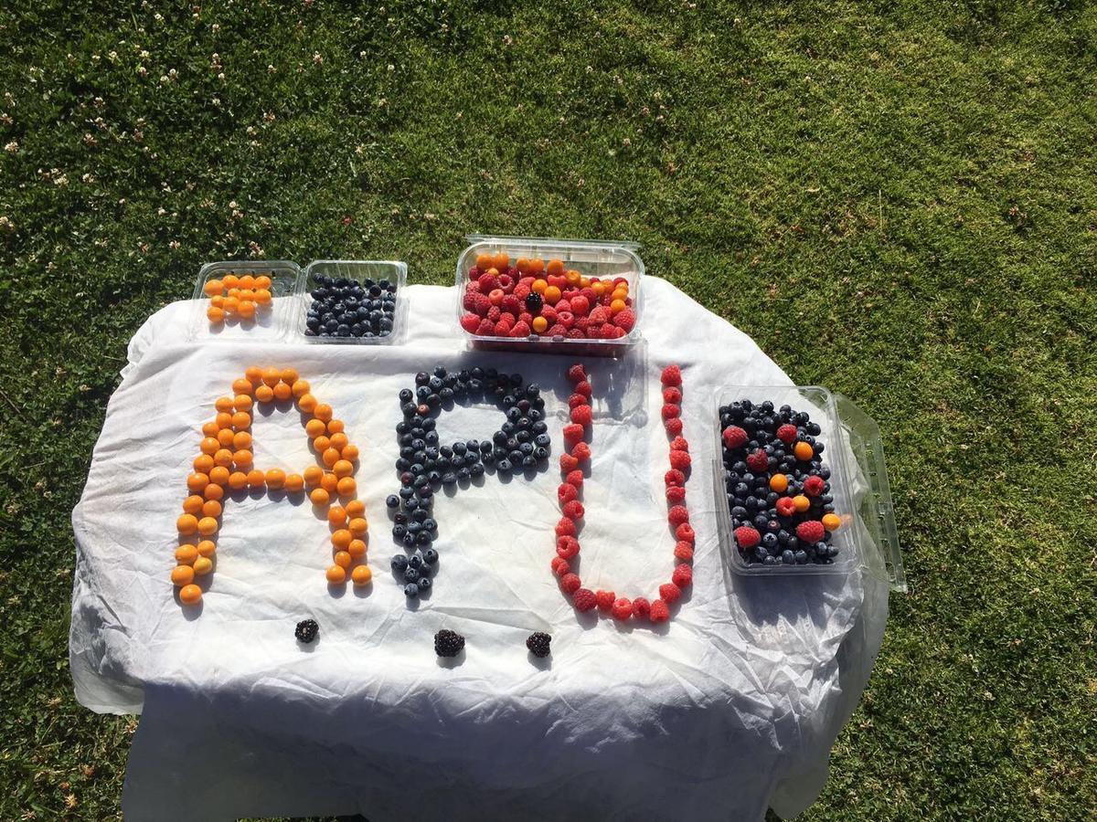 Apu Ecolodge Caraz 外观 照片